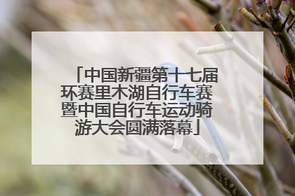 中国新疆第十七届环赛里木湖自行车赛暨中国自行车运动骑游大会圆满落幕