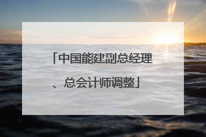 中国能建副总经理、总会计师调整