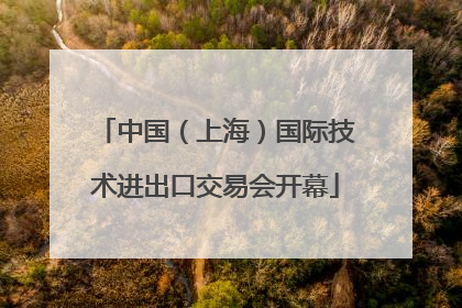 中国（上海）国际技术进出口交易会开幕