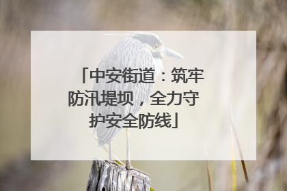 中安街道：筑牢防汛堤坝，全力守护安全防线