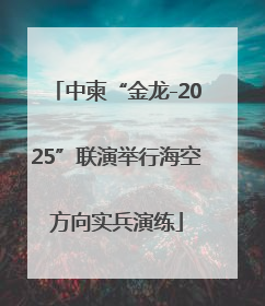 中柬“金龙-2025”联演举行海空方向实兵演练