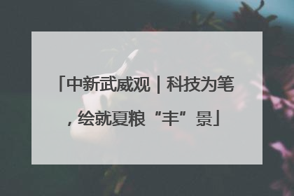 中新武威观｜科技为笔，绘就夏粮“丰”景