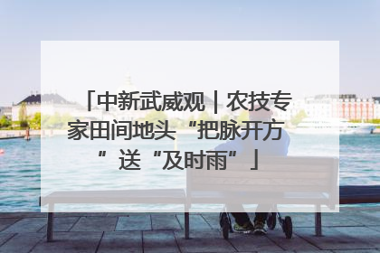 中新武威观｜农技专家田间地头“把脉开方”送“及时雨”
