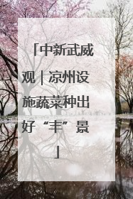 中新武威观｜凉州设施蔬菜种出好“丰”景