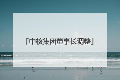 中核集团董事长调整