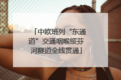 中欧班列“东通道”交通咽喉绥芬河隧道全线贯通
