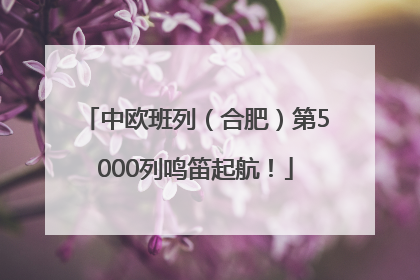 中欧班列（合肥）第5000列鸣笛起航！
