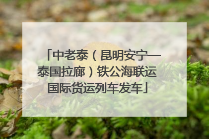中老泰（昆明安宁—泰国拉廊）铁公海联运国际货运列车发车