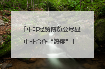 中非经贸博览会尽显中非合作“热度”