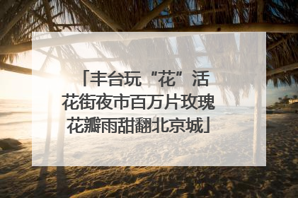 丰台玩“花”活 花街夜市百万片玫瑰花瓣雨甜翻北京城