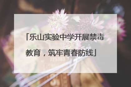 乐山实验中学开展禁毒教育，筑牢青春防线