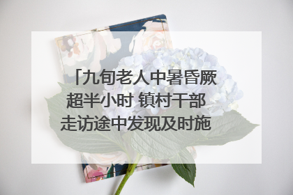 九旬老人中暑昏厥超半小时 镇村干部走访途中发现及时施救｜看见正能量