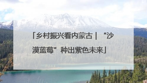乡村振兴看内蒙古｜“沙漠蓝莓”种出紫色未来