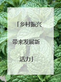 乡村振兴带来发展新活力