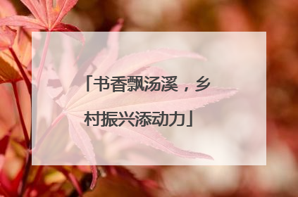 书香飘汤溪，乡村振兴添动力