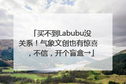 买不到Labubu没关系！气象文创也有惊喜，不信，开个盲盒→