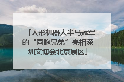 人形机器人半马冠军的“同胞兄弟”亮相深圳文博会北京展区