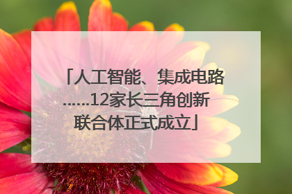 人工智能、集成电路……12家长三角创新联合体正式成立