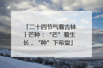 二十四节气看吉林丨芒种：“芒”着生长，“种”下希望