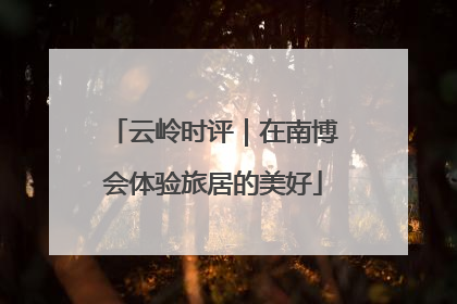 云岭时评｜在南博会体验旅居的美好