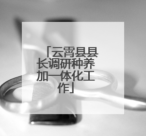 云霄县县长调研种养加一体化工作