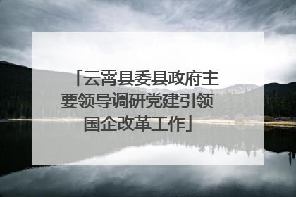 云霄县委县政府主要领导调研党建引领国企改革工作