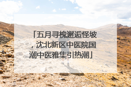 五月寻槐邂逅怪坡，沈北新区中医院国潮中医雅集引热潮