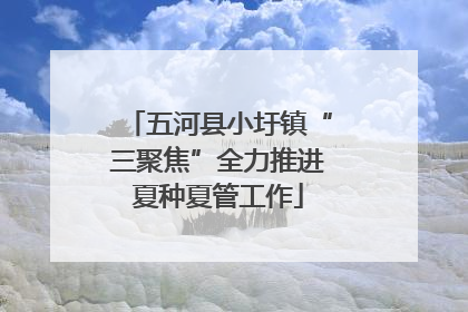 五河县小圩镇“三聚焦”全力推进夏种夏管工作
