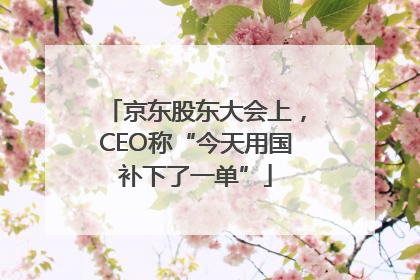 京东股东大会上，CEO称“今天用国补下了一单”
