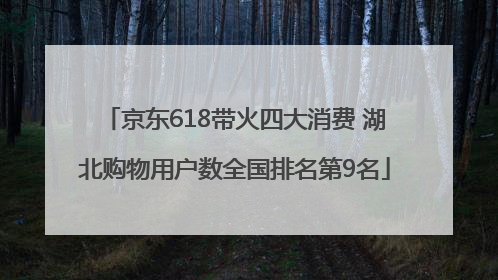 京东618带火四大消费 湖北购物用户数全国排名第9名
