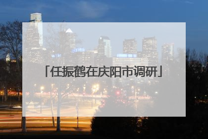 任振鹤在庆阳市调研