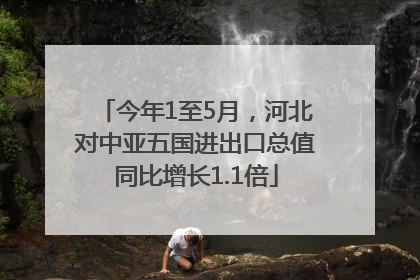今年1至5月，河北对中亚五国进出口总值同比增长1.1倍
