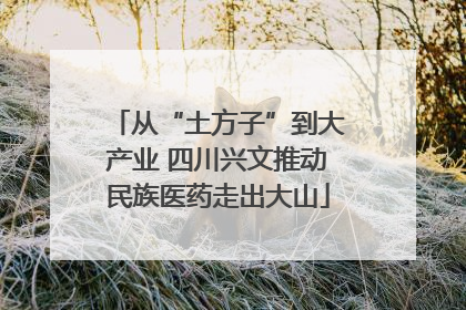 从“土方子”到大产业 四川兴文推动民族医药走出大山