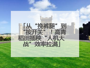 从“挽裤腿”到“按开关”！高青稻田插秧“人机大战”效率拉满