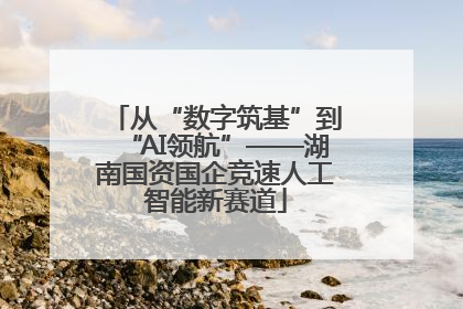 从“数字筑基”到“AI领航”——湖南国资国企竞速人工智能新赛道