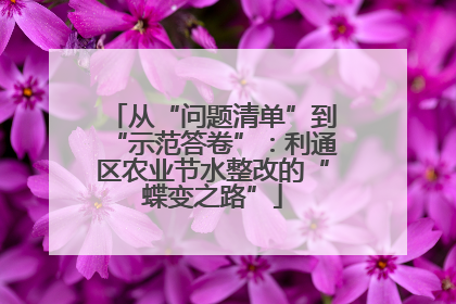 从“问题清单”到“示范答卷”：利通区农业节水整改的“蝶变之路”