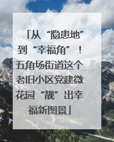 从“隐患地”到“幸福角”！五角场街道这个老旧小区党建微花园“靓”出幸福新图景
