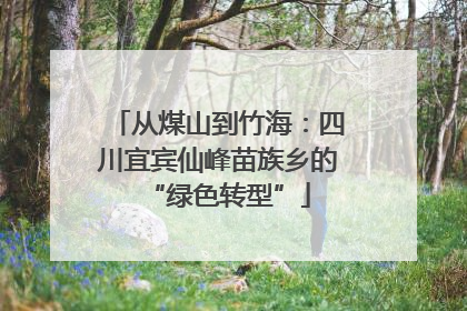 从煤山到竹海：四川宜宾仙峰苗族乡的“绿色转型”
