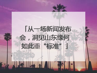 从一场新闻发布会，洞见山东缘何如此重“标准”