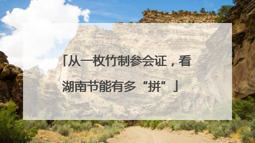 从一枚竹制参会证，看湖南节能有多“拼”
