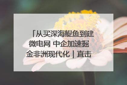 从买深海鳀鱼到建微电网 中企加速掘金非洲现代化｜直击中非经贸博览会