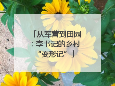 从军营到田园：李书记的乡村 “变形记”