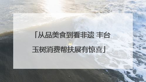 从品美食到看非遗 丰台玉树消费帮扶展有惊喜