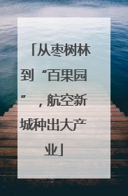 从枣树林到“百果园”，航空新城种出大产业