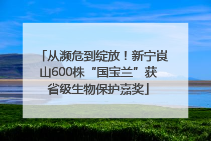 从濒危到绽放！新宁崀山600株“国宝兰”获省级生物保护嘉奖