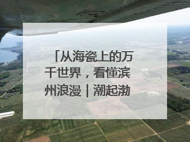 从海瓷上的万千世界，看懂滨州浪漫｜潮起渤海・网聚黄蓝