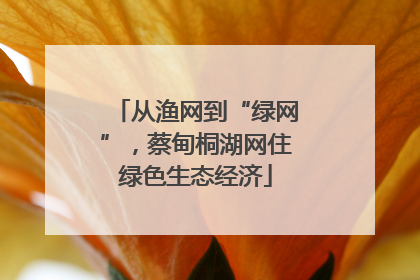 从渔网到“绿网”，蔡甸桐湖网住绿色生态经济