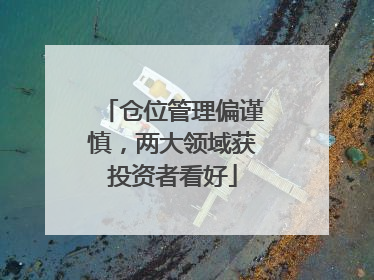 仓位管理偏谨慎，两大领域获投资者看好