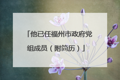 他已任福州市政府党组成员（附简历）