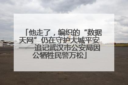 他走了，编织的“数据天网”仍在守护大城平安——追记武汉市公安局因公牺牲民警万松
